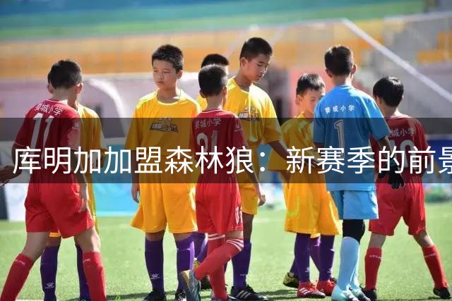 库明加加盟森林狼：新赛季的前景与挑战