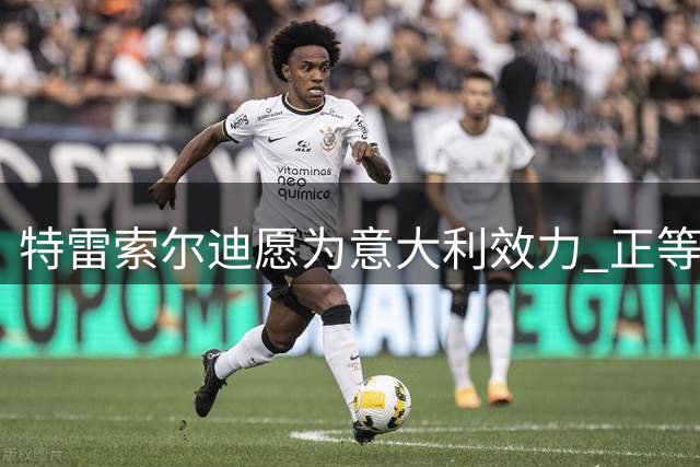 特雷索尔迪愿为意大利效力 正等待FIFA审批